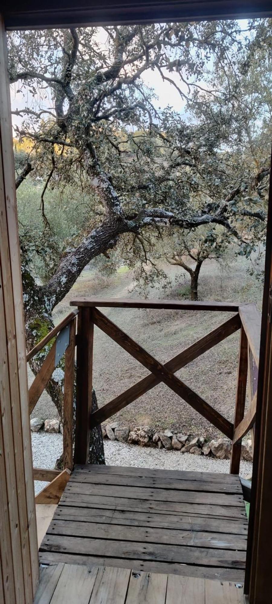 Cabana Del Arbol Lavagarural Villanueva del Rosario Exterior photo